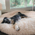 Calming Dog Cushion – Anti-Stress, Comfortable for Small/Large Dogs – Relaxation, Home