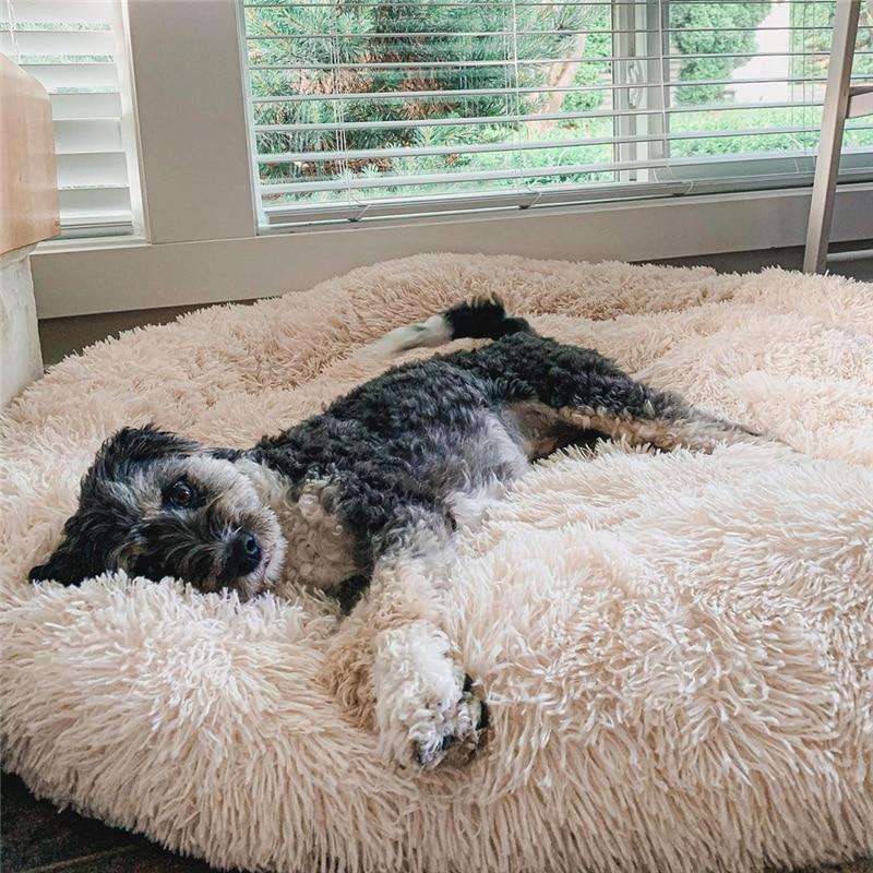 Calming Dog Cushion – Anti-Stress, Comfortable for Small/Large Dogs – Relaxation, Home