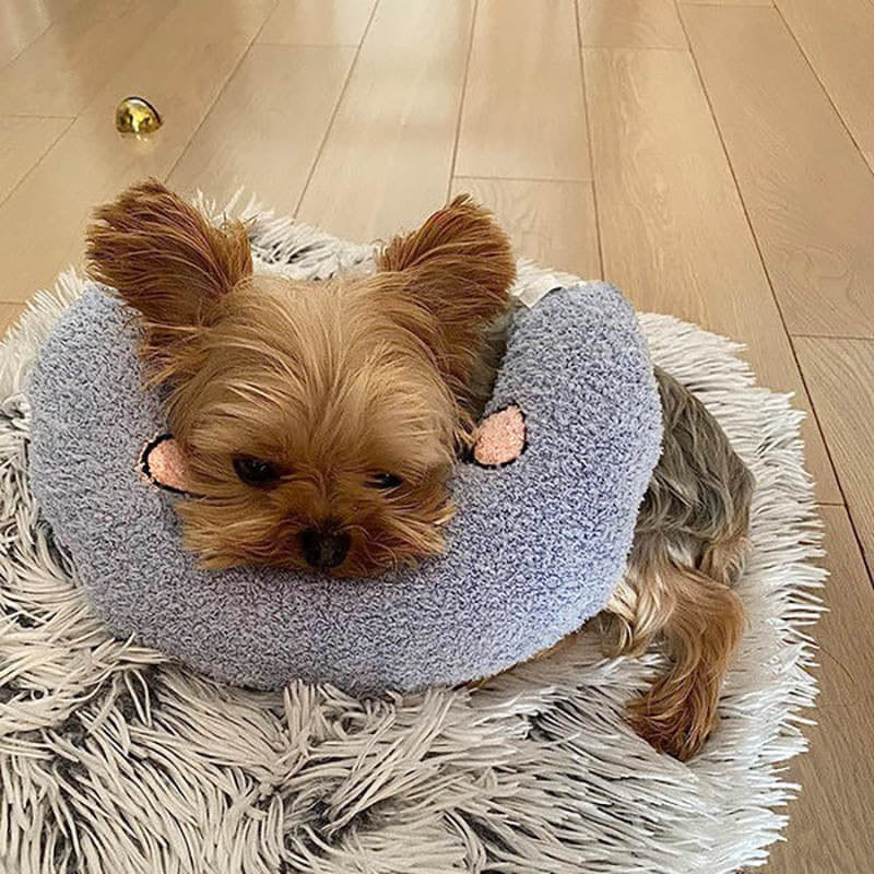 Cushion for Dogs – Comfortable, Soft Material – Relaxation, Travel