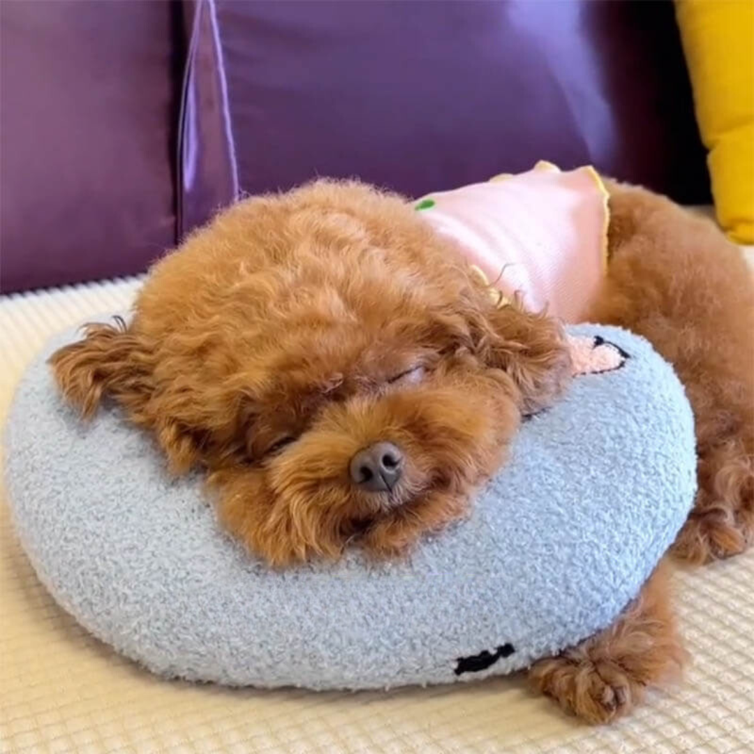 Cushion for Dogs – Comfortable, Soft Material – Relaxation, Travel