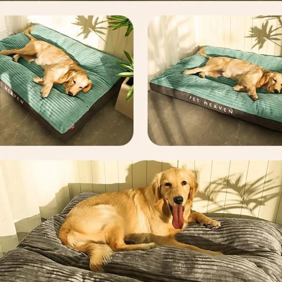 Orthopaedic Dog Bed with Removable Cover – Comfort, Sleep