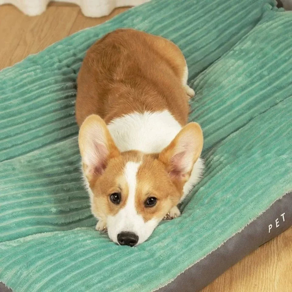 Orthopaedic Dog Bed with Removable Cover – Comfort, Sleep