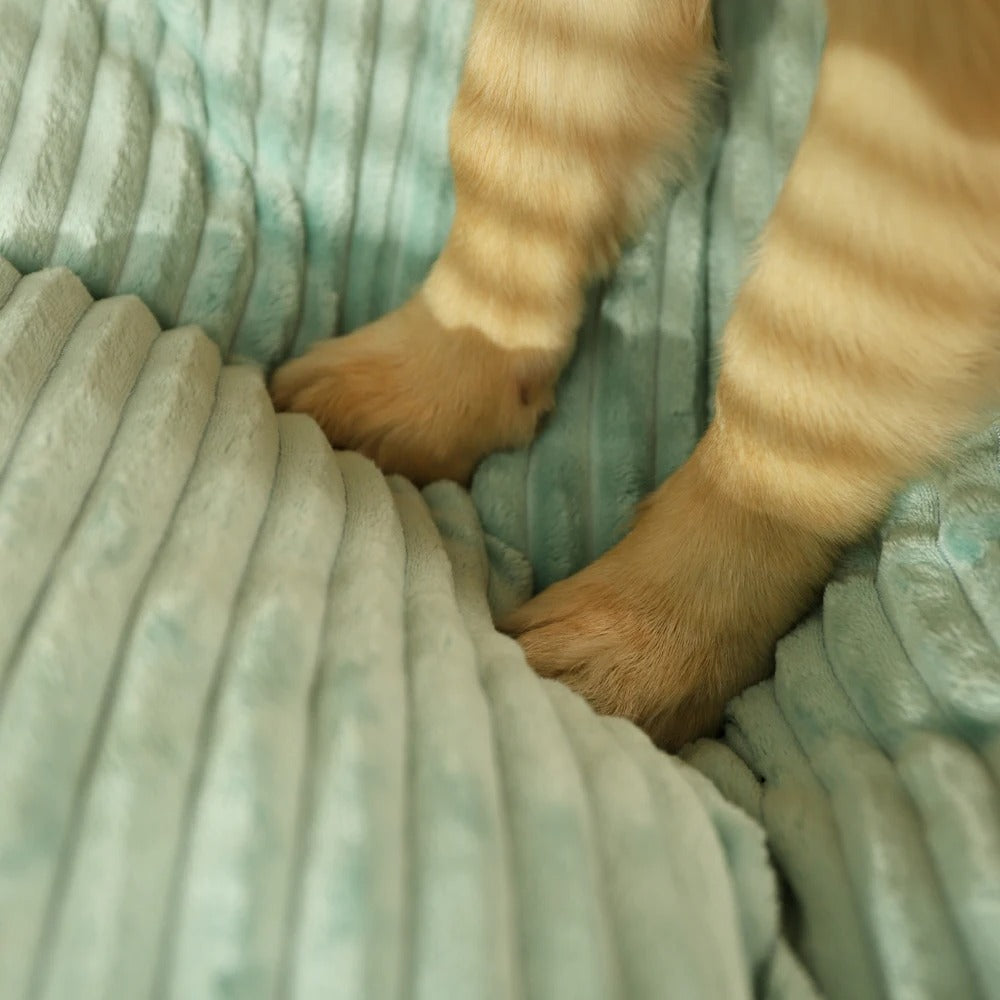 Orthopaedic Dog Bed with Removable Cover – Comfort, Sleep
