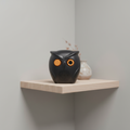 Owl-Shaped Surveillance Camera ABS – Home Security, Monitoring
