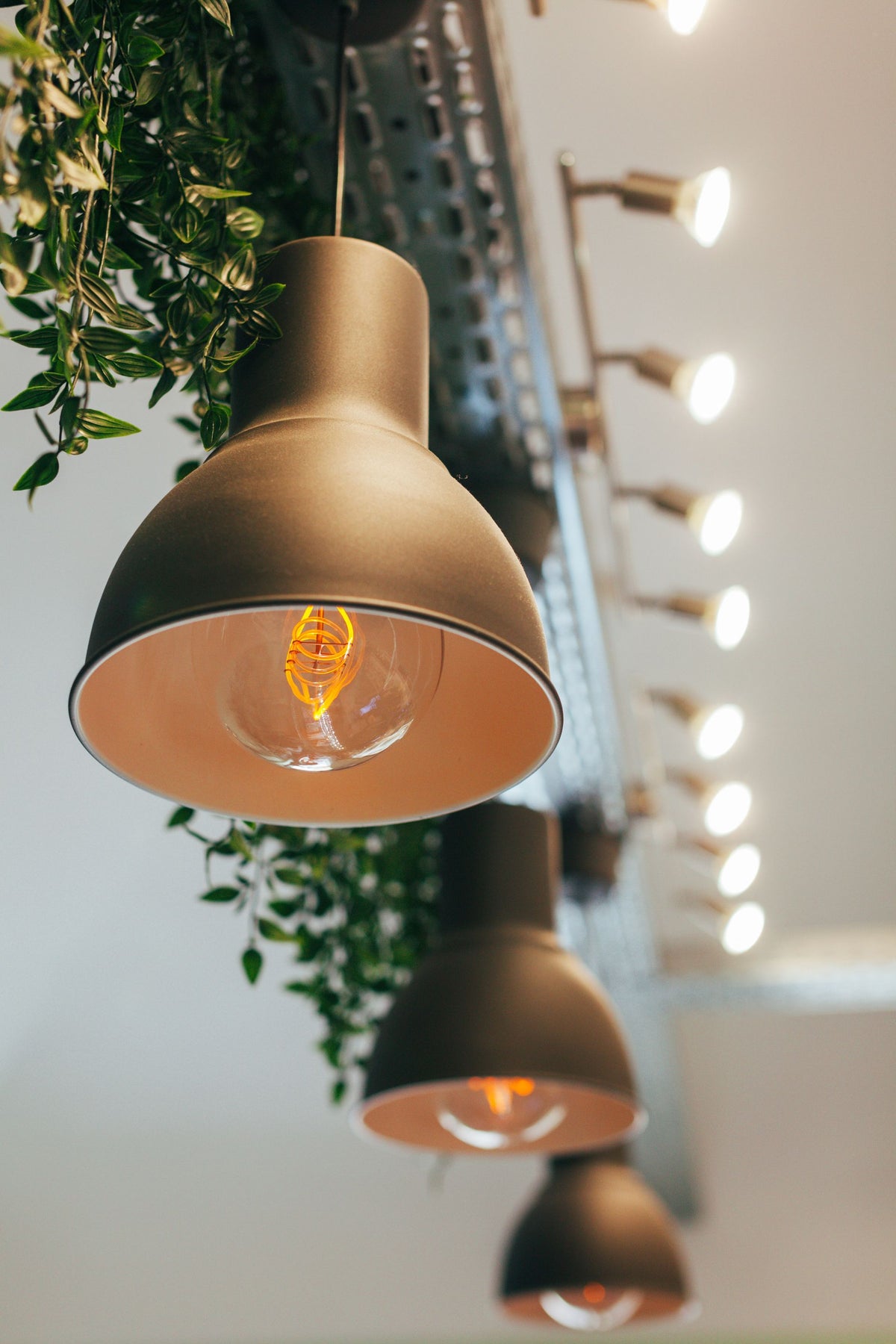 A close-up, low-angle view of a modern industrial pendant light with a matte dark bronze finish and a warm glowing filament bulb inside, hanging in a decorated interior with green trailing plants and other out-of-focus lights.